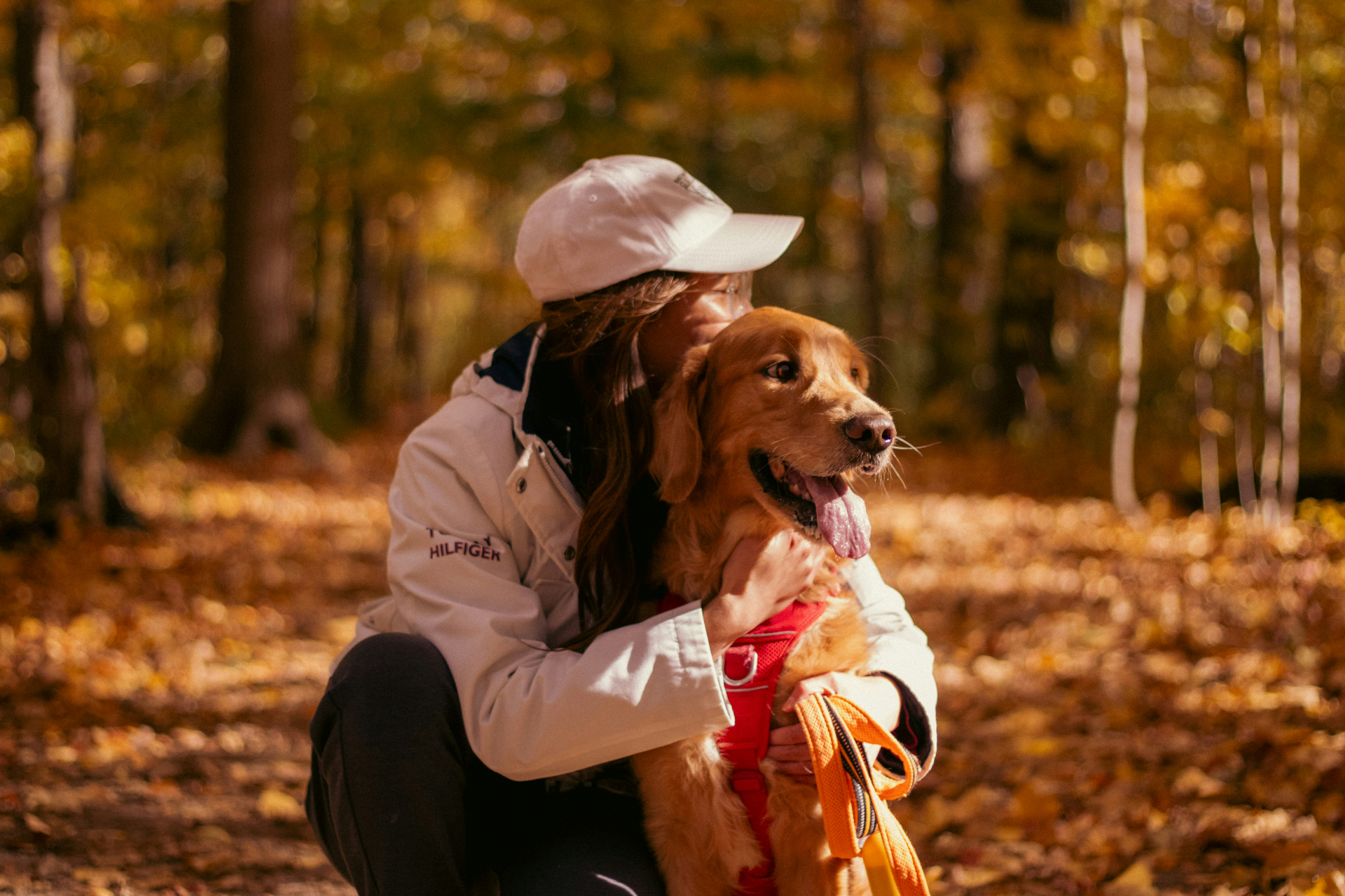 Golden Retriever owner hugging their dog — 2026 pet insurance buyers guide hero