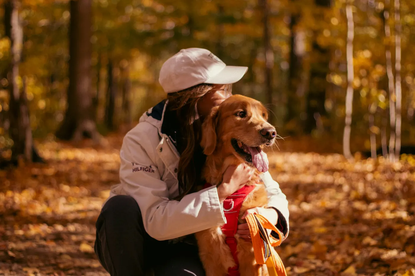 Golden Retriever owner hugging their dog — 2026 pet insurance buyers guide hero